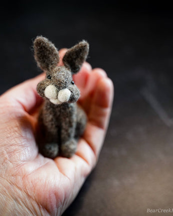 Rabbit Needle Felting Kit