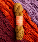 Amaro Imbue Sport - Brooklyn Tweed